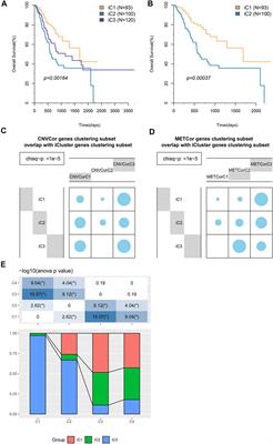 Frontiers Comprehensive Genomic And Epigenomic Analyses On